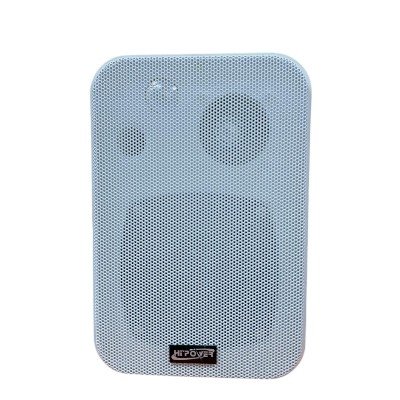 HI-POWER,Couple Passive PA Speaker 10W White.